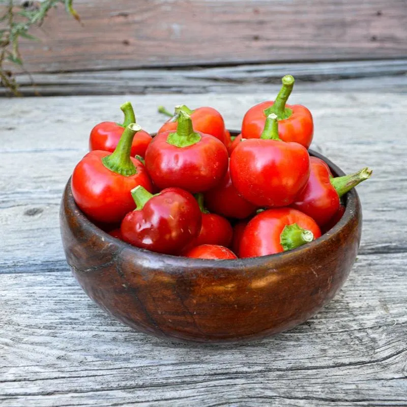 Red Hot Cherry Pepper (77 Days)